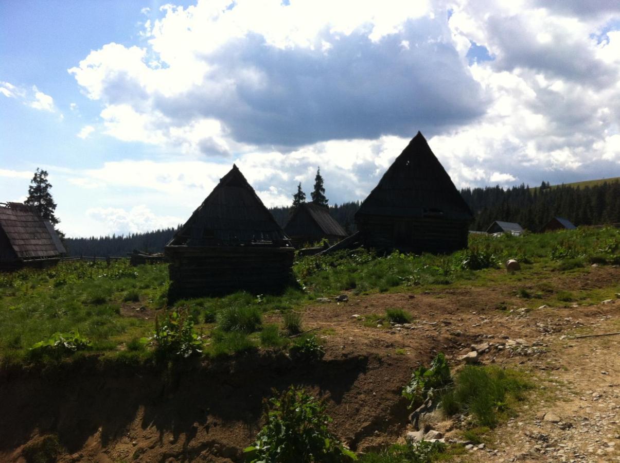 Pensiunea Skiland Muntele Baisorii Extérieur photo