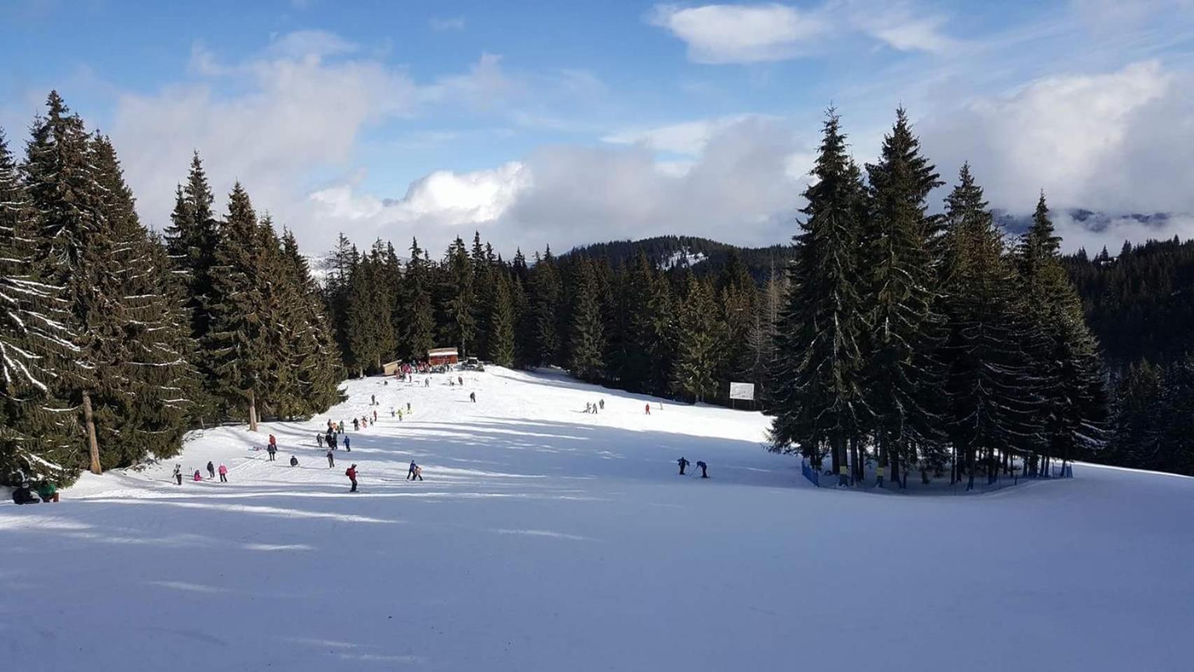 Pensiunea Skiland Muntele Baisorii Extérieur photo